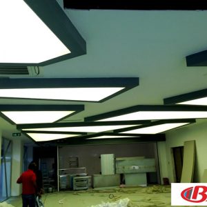 Nature College Tensioner Ceiling Application